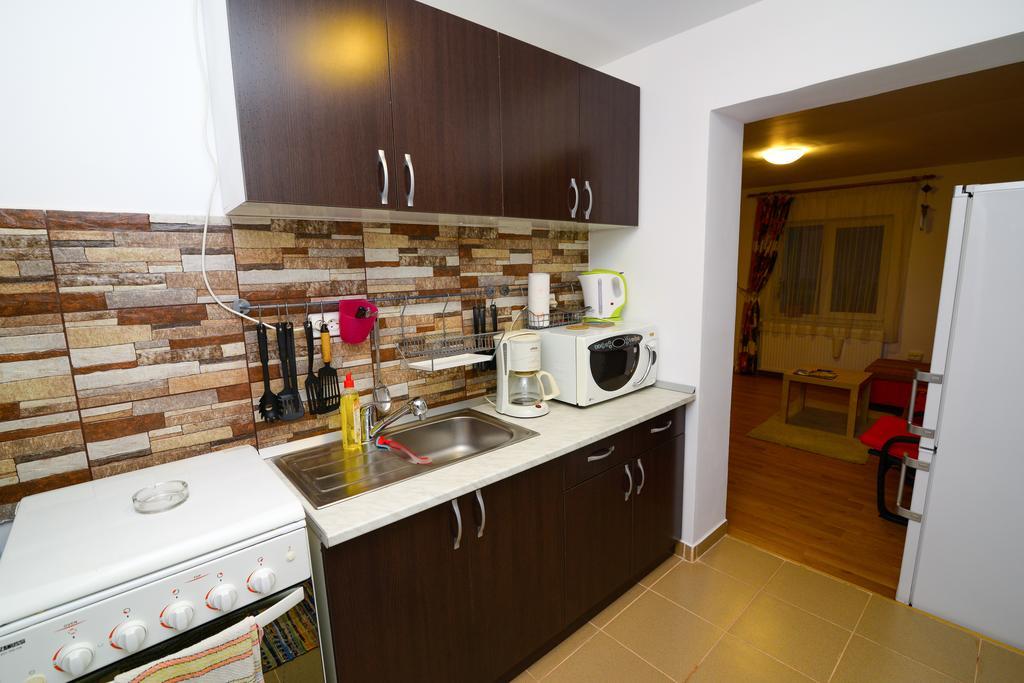 Otopeni Therme Airport Apartment Rum bild