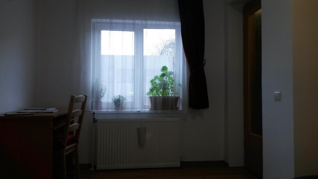 Otopeni Therme Airport Apartment Rum bild
