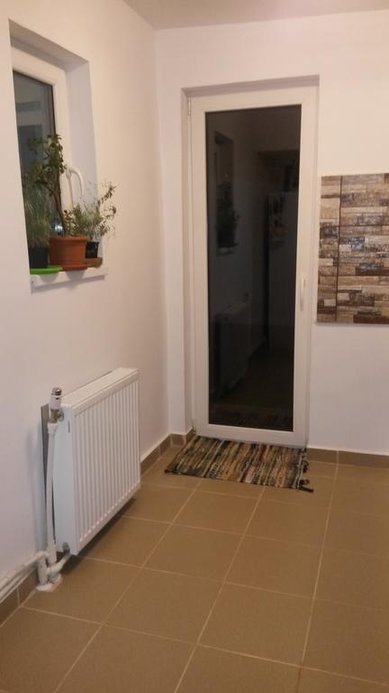 Otopeni Therme Airport Apartment Rum bild