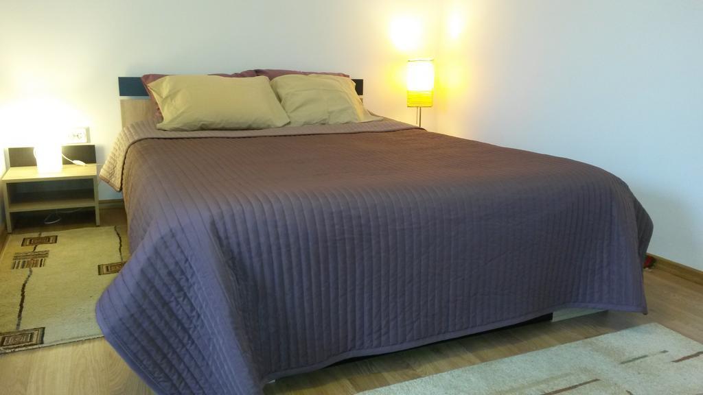 Otopeni Therme Airport Apartment Rum bild