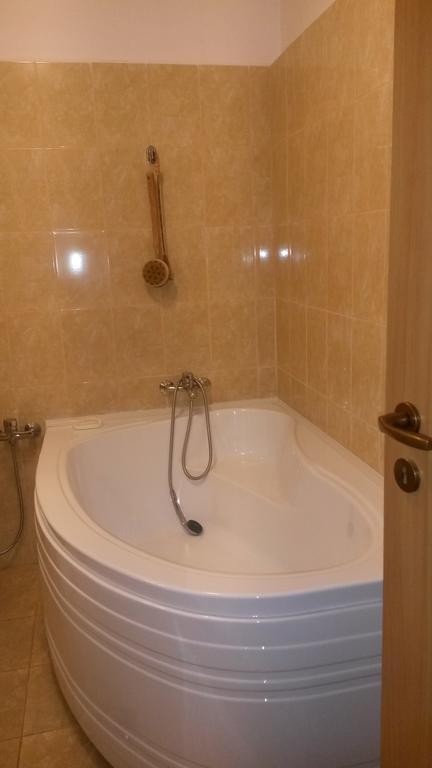Otopeni Therme Airport Apartment Rum bild